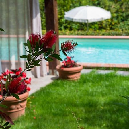 Villa Con Piscina Esclusiva Nel Verde Lucca Eksteriør billede