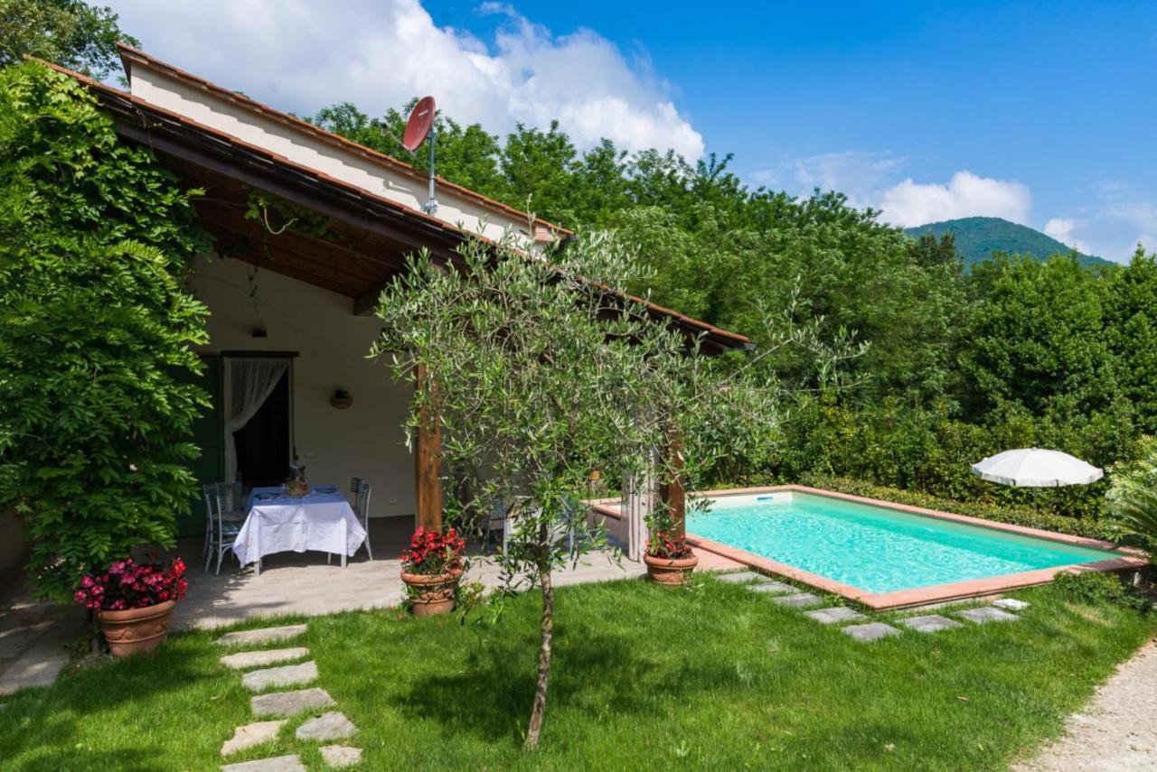 Villa Con Piscina Esclusiva Nel Verde Lucca Eksteriør billede