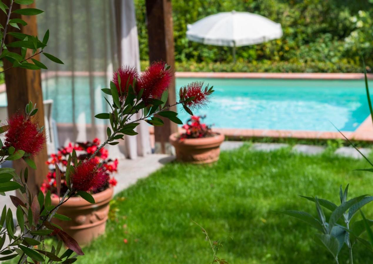 Villa Con Piscina Esclusiva Nel Verde Lucca Eksteriør billede